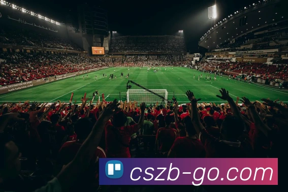 多媒体互动体验